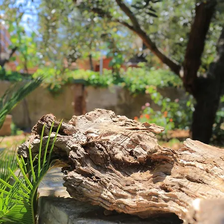 Gostinjska kuća And With Parking Space - 4814 3*