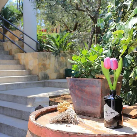 Πανσιόν And With Parking Space - 4814 Τρογκίρ